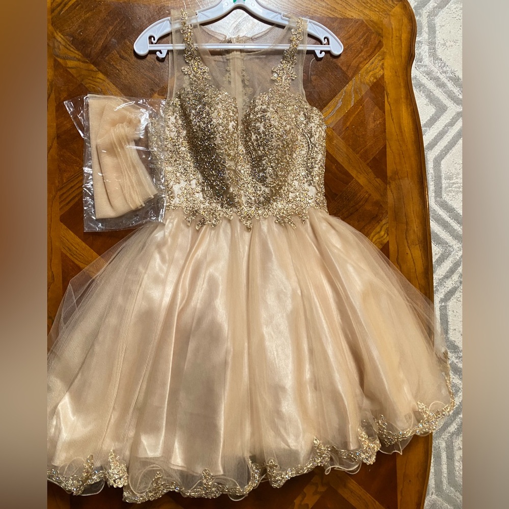 Gold Sequence Dama Dress View 3